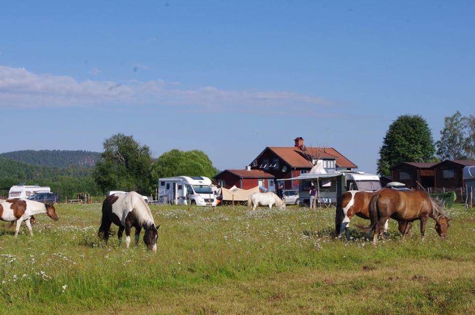 EkshäradSun Dance Ranch住宿加早餐旅馆 外观 照片